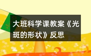 大班科學(xué)課教案《光斑的形狀》反思