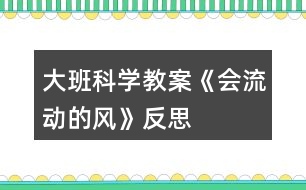 大班科學(xué)教案《會流動(dòng)的風(fēng)》反思