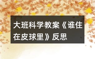 大班科學(xué)教案《誰(shuí)住在皮球里》反思