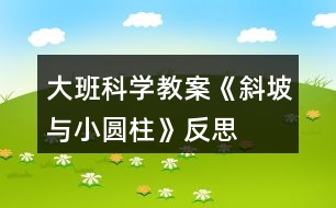 大班科學(xué)教案《斜坡與小圓柱》反思