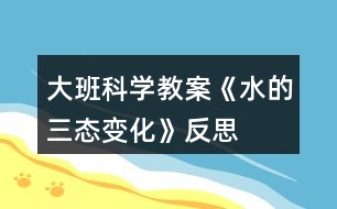 大班科學(xué)教案《水的三態(tài)變化》反思