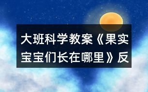 大班科學(xué)教案《果實寶寶們長在哪里》反思