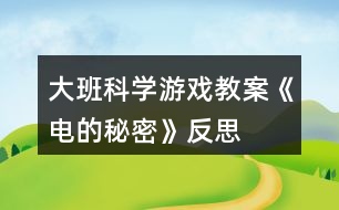 大班科學游戲教案《電的秘密》反思