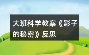 大班科學(xué)教案《影子的秘密》反思