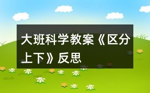 大班科學(xué)教案《區(qū)分上下》反思