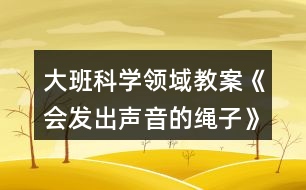 大班科學(xué)領(lǐng)域教案《會(huì)發(fā)出聲音的繩子》反思