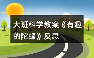 大班科學(xué)教案《有趣的陀螺》反思