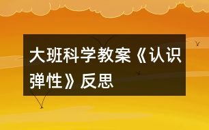 大班科學(xué)教案《認識彈性》反思