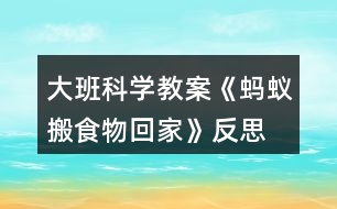 大班科學教案《螞蟻搬食物回家》反思