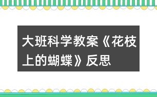 大班科學教案《花枝上的蝴蝶》反思