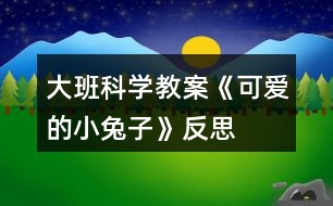 大班科學(xué)教案《可愛(ài)的小兔子》反思