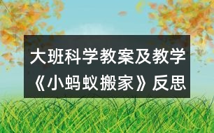 大班科學教案及教學《小螞蟻搬家》反思