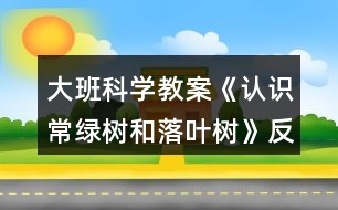 大班科學(xué)教案《認識常綠樹和落葉樹》反思