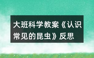 大班科學(xué)教案《認(rèn)識(shí)常見的昆蟲》反思