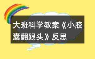 大班科學(xué)教案《小膠囊翻跟頭》反思