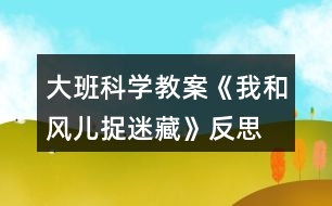 大班科學(xué)教案《我和風(fēng)兒捉迷藏》反思