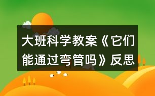 大班科學(xué)教案《它們能通過彎管嗎》反思