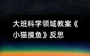 大班科學領(lǐng)域教案《小貓摸魚》反思