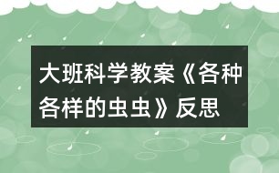 大班科學(xué)教案《各種各樣的蟲蟲》反思