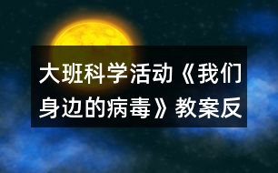 大班科學(xué)活動《我們身邊的病毒》教案反思