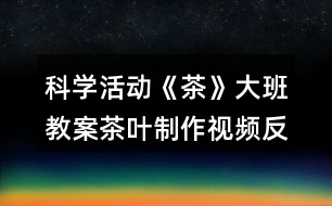 科學活動《茶》大班教案茶葉制作視頻反思