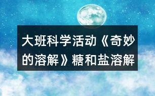 大班科學(xué)活動《奇妙的溶解》（糖和鹽溶解）教案反思