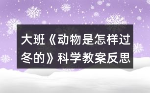 大班《動物是怎樣過冬的》科學(xué)教案反思