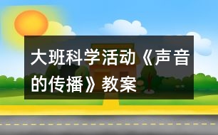 大班科學(xué)活動《聲音的傳播》教案