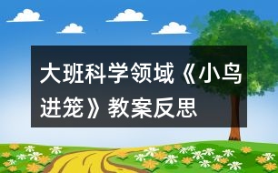 大班科學(xué)領(lǐng)域《小鳥(niǎo)進(jìn)籠》教案反思