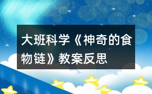 大班科學《神奇的食物鏈》教案反思