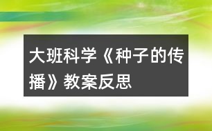 大班科學(xué)《種子的傳播》教案反思