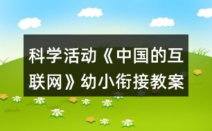 科學(xué)活動(dòng)《中國的互聯(lián)網(wǎng)》幼小銜接教案