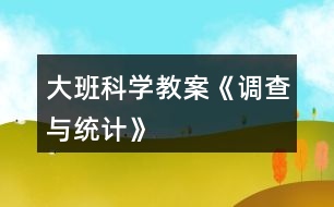 大班科學(xué)教案《調(diào)查與統(tǒng)計(jì)》