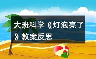 大班科學《燈泡亮了》教案反思