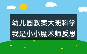 幼兒園教案大班科學我是小小魔術師反思