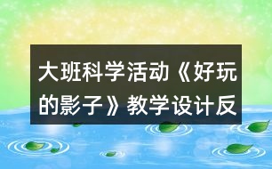 大班科學(xué)活動(dòng)《好玩的影子》教學(xué)設(shè)計(jì)反思