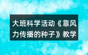 大班科學(xué)活動(dòng)《靠風(fēng)力傳播的種子》教學(xué)設(shè)計(jì)活動(dòng)反思