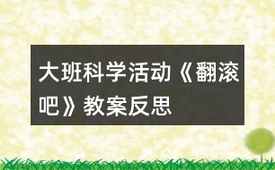 大班科學(xué)活動(dòng)《翻滾吧》教案反思