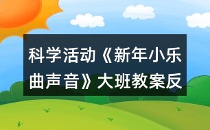 科學活動《新年小樂曲聲音》大班教案反思