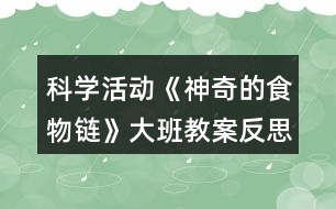 科學(xué)活動《神奇的食物鏈》大班教案反思