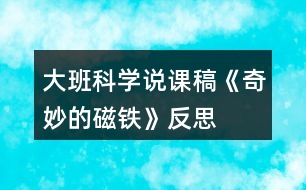 大班科學(xué)說(shuō)課稿《奇妙的磁鐵》反思