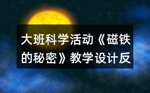 大班科學(xué)活動(dòng)《磁鐵的秘密》教學(xué)設(shè)計(jì)反思