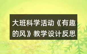 大班科學(xué)活動《有趣的風(fēng)》教學(xué)設(shè)計反思