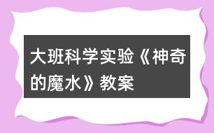 大班科學(xué)實(shí)驗(yàn)《神奇的魔水》教案