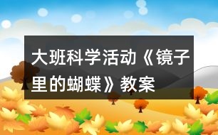 大班科學活動《鏡子里的蝴蝶》教案