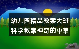 幼兒園精品教案大班科學(xué)教案神奇的中草藥科學(xué)領(lǐng)域反思