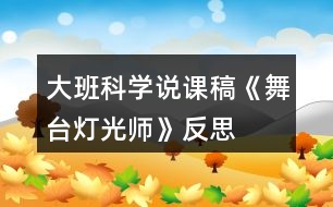 大班科學(xué)說課稿《舞臺燈光師》反思