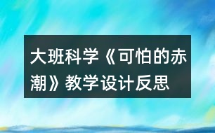 大班科學(xué)《可怕的赤潮》教學(xué)設(shè)計(jì)反思