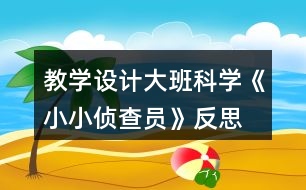 教學設計大班科學《小小偵查員》反思