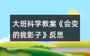 大班科學(xué)教案《會變的我影子》反思